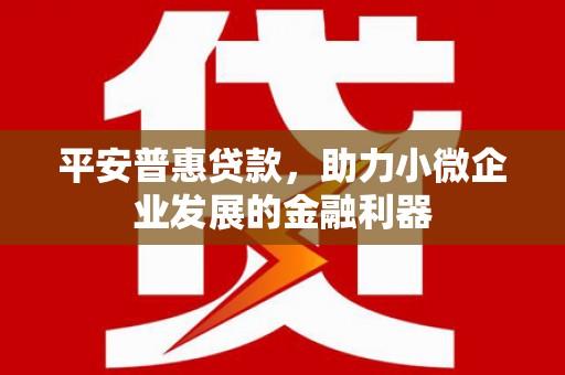 雾台平安普惠贷款，助力小微企业发展的金融利器