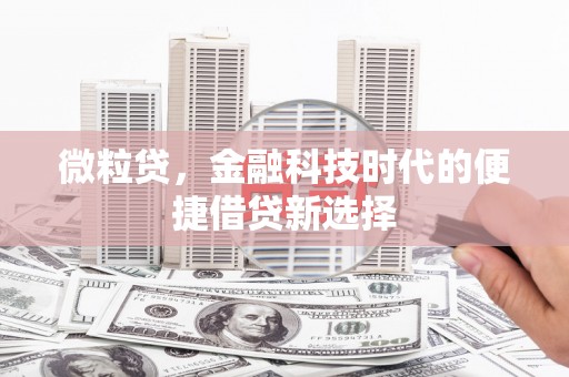 雾台微粒贷，金融科技时代的便捷借贷新选择