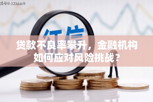 雾台贷款不良率攀升，金融机构如何应对风险挑战？