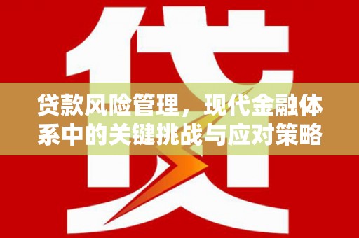 雾台贷款风险管理，现代金融体系中的关键挑战与应对策略