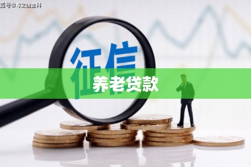 雾台养老贷款