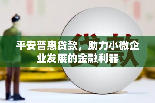雾台平安普惠贷款，助力小微企业发展的金融利器