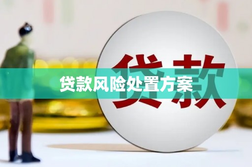 雾台贷款风险处置方案