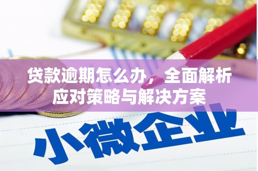 雾台贷款逾期怎么办，全面解析应对策略与解决方案