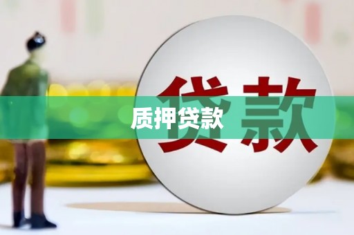 雾台质押贷款