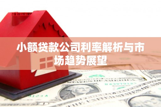 雾台小额贷款公司利率解析与市场趋势展望