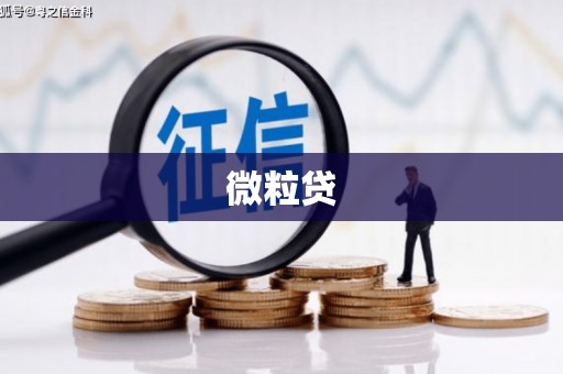 雾台微粒贷