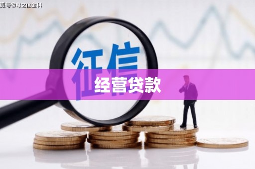 雾台经营贷款