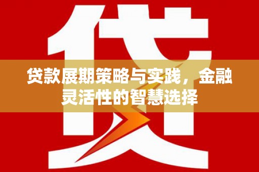 雾台贷款展期策略与实践，金融灵活性的智慧选择