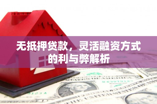 雾台无抵押贷款，灵活融资方式的利与弊解析