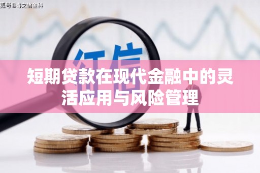 雾台短期贷款在现代金融中的灵活应用与风险管理