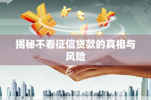 雾台揭秘不看征信贷款的真相与风险