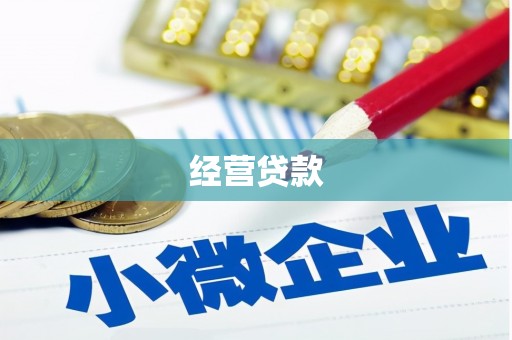 雾台经营贷款
