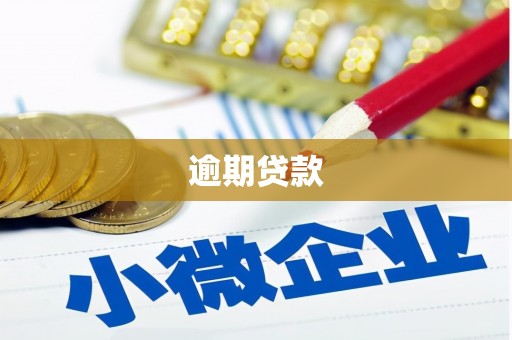 雾台逾期贷款